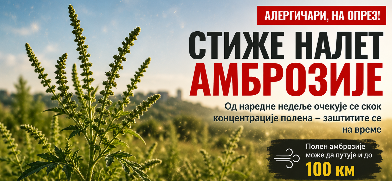 Амброзија