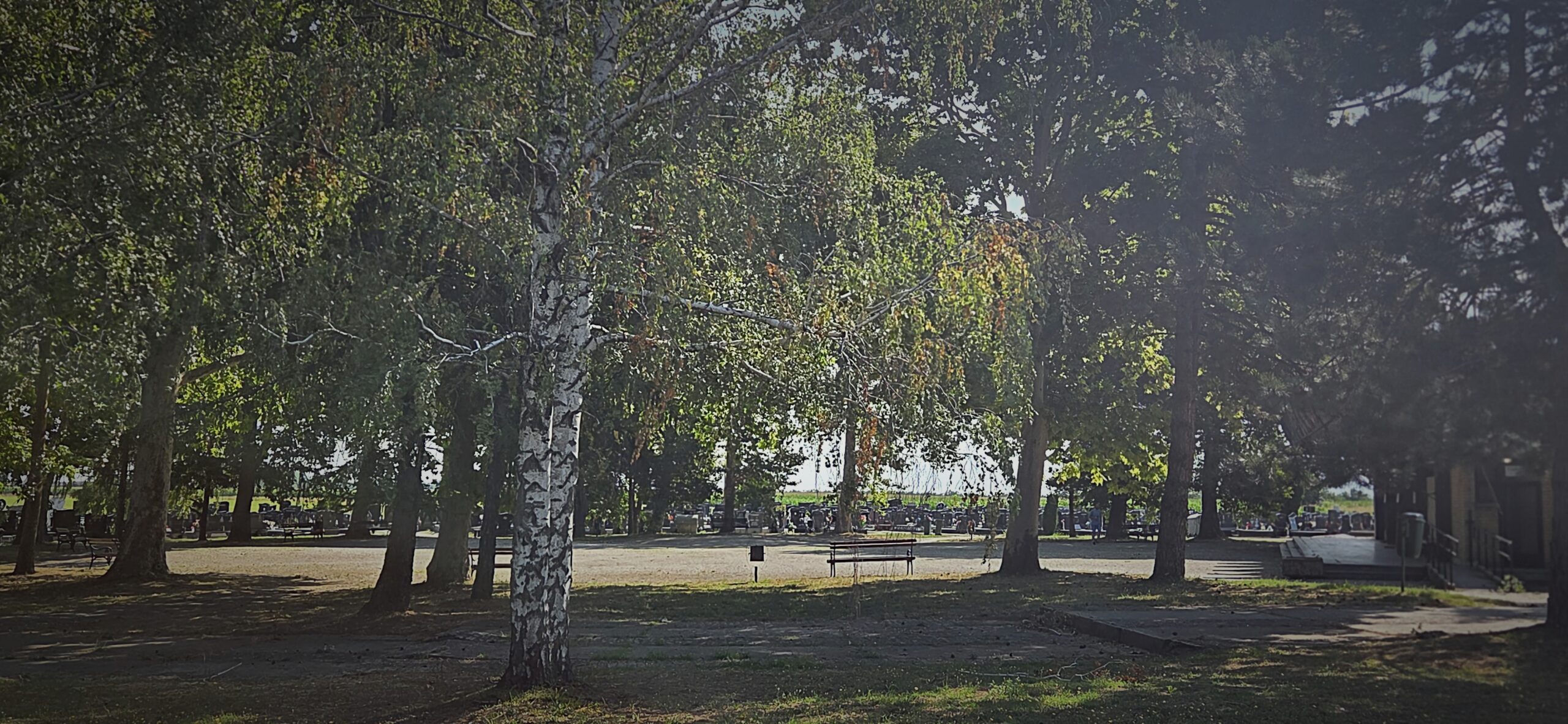 ГРОБЉЕ