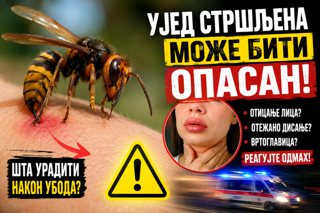 Стршљен