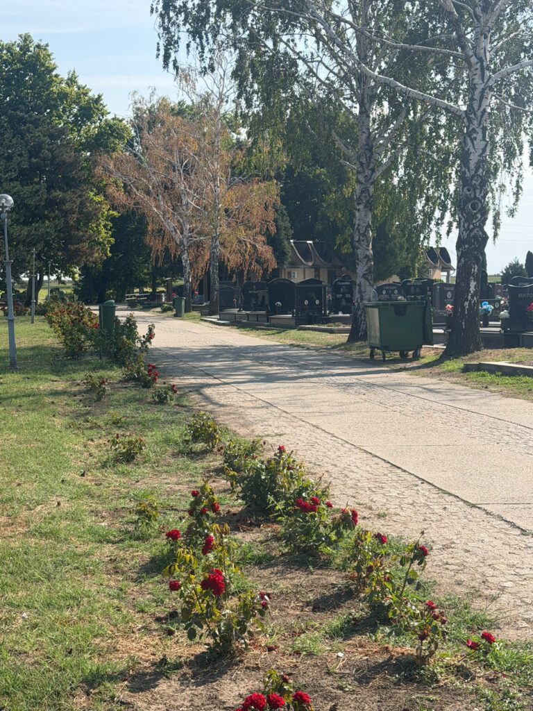 ГРОБЉЕ