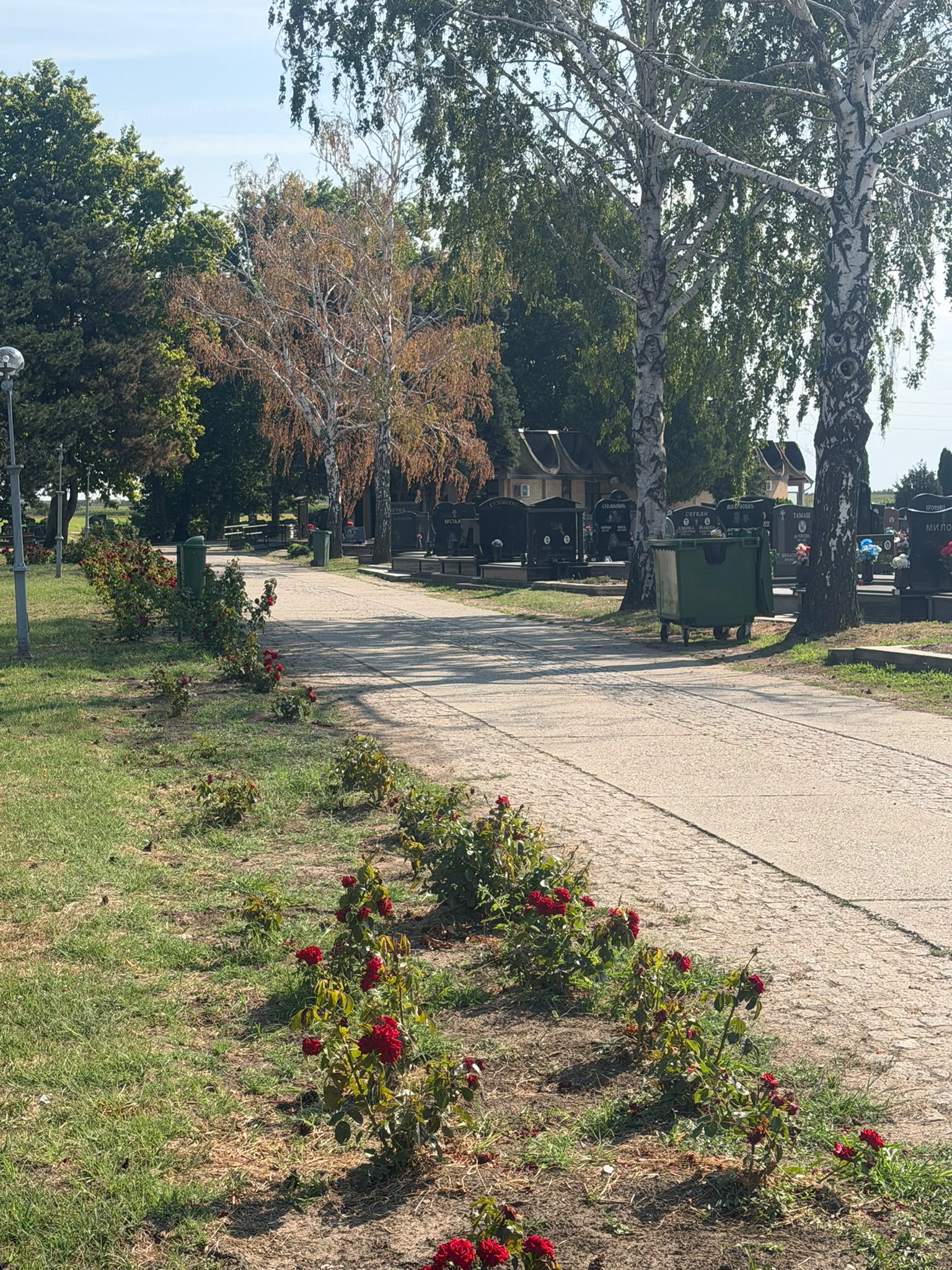 ГРОБЉЕ